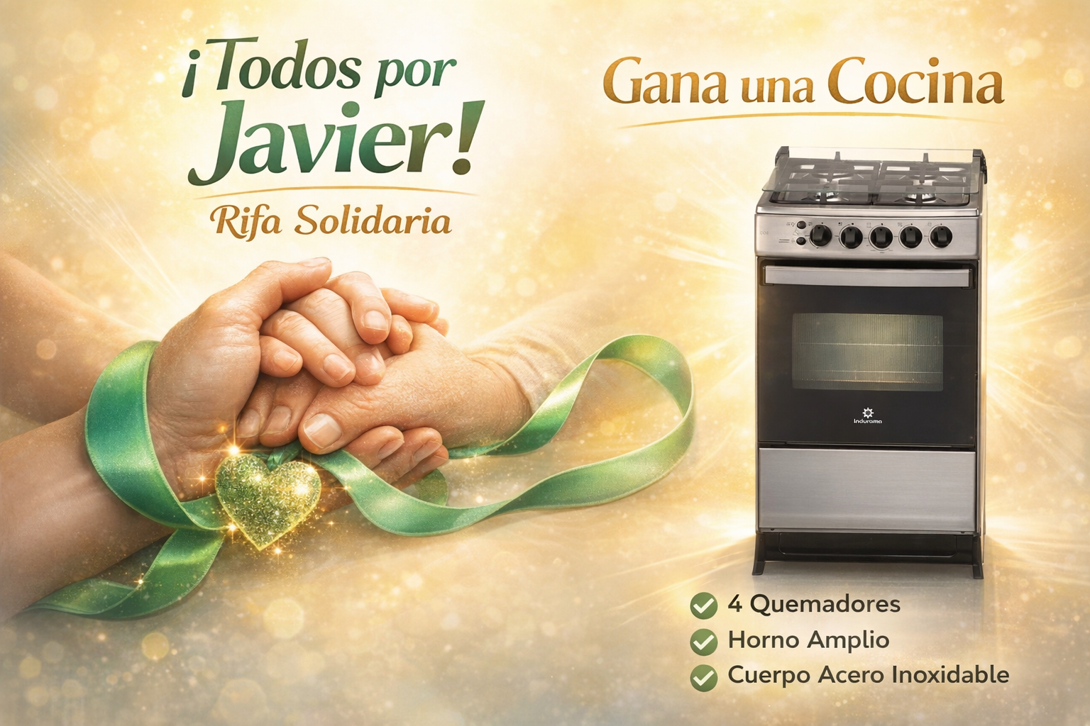 Infografía del Premio y Causa